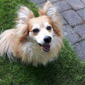 Meet your Posher, Kathy